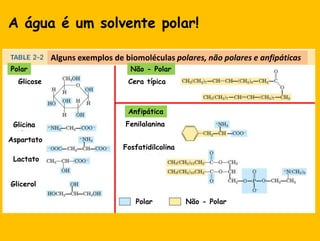 A água é um solvente polar!Algunsexemplos de biomoléculaspolares, nãopolares e anfipáticasPolarNão - PolarCeratípicaGlicoseAnfipáticaFenilalaninaGlicinaAspartatoFosfatidilcolinaLactatoGlicerolNão - PolarPolar