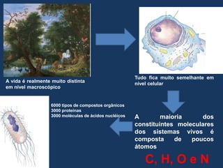TudoficamuitosemelhanteemnívelcelularA vida é realmentemuitodistintaemnívelmacroscópico6000 tipos de compostosorgânicos3000 proteínas3000 moléculas de ácidosnucléicosA maioria dos constituintesmoleculares dos sistemasvivos é composta de poucosátomosC, H, O e N