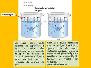 Formação de cristal de geloEvaporaçãoNestasolução, a concetraçãoefetivadaágua é reduzida; apenastrês de quatromoléculasnasuperfície e no corpodasoluçãosãoágua e a tendência de a águalíquidaformar o cristalsãoreduzidasproporcionalmente.Emáguapura, cadamoléculanasuperfície é água e todaselascontribuem para a pressão de vapor. Cadamolécula no corpodasolução é água e podecontribuir para a formação de cristais de gelo.
