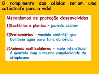 O rompimento das célulasseriamumacatástrofe para a vida!Mecanismos de proteçãodesenvolvidosBactérias e plantas – paredecelular2)Protozoários – vacúolocontrátilquebombeiaágua para foradacélula3)Animaismulticelulares - meiointersticial é mantido com a mesmaosmolaridade do citoplasma