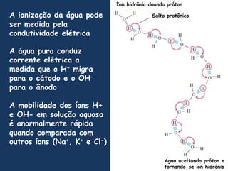 ÍonhidrôniodoandoprótonA ionizaçãodaáguapode ser medidapelacondutividadeelétricaSalto protônicoA águapuraconduzcorrenteelétrica a medidaque o H+migra para o cátodo e o OH- para o ânodoA mobilidade dos íons H+ e OH- emsoluçãoaquosa é anormalmenterápidaquandocomparada com outrosíons (Na+, K+ e Cl-)Águaaceitandopróton e tornando-se íonhidrônio