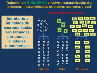 TrabalharemBIOQUÍMICAenvolve a caracterização das inúmerasmacromoléculasexistentesnosseresvivos!SubunidadesmonoméricasEntretanto a infinidade de macromoléculassãoformadasporpoucasunidadesmonoméricasPheThrAsnGluVAQOTyrGlyGlnLysMKGRIAspTMetValAlaHULPCATLeuHisSerIleJCysProTrpGATCATACAGTCTTGCGACTACGTMASSAGESAESSAGESMESSAGESAsnGluValLysMetIleHisProTrpTrpPalavrasDNAProteínas