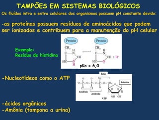 TAMPÕES EM SISTEMAS BIOLÓGICOSOs fluídos intra e extra celulares dos organismospossuem pH constantedevido:-as proteínaspossuemresíduos de aminoácidosquepodem ser ionizados e contribuem para a manutenção do pH celular-Nucleotídeoscomo o ATP-ácidosorgânicos-Amônia (tampona a urina)Exemplo:Resíduo de histidinapKa = 6,0ÉsterAdeninaAnidridoAnidrido