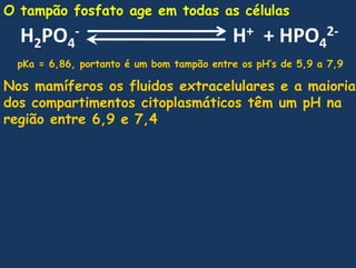 O tampãofosfato age emtodas as célulasH2PO4-                               H+  + HPO42-pKa = 6,86, portanto é um bomtampão entre os pH’s de 5,9 a 7,9Nosmamíferososfluidosextracelulares e a maioria dos compartimentoscitoplasmáticostêm um pH naregião entre 6,9 e 7,4