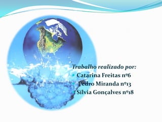 Trabalho realizado por: Catarina Freitas nº6 Pedro Miranda nº13Sílvia Gonçalves nº18