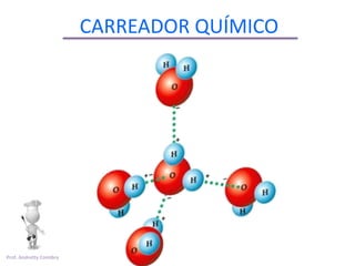 CARREADOR QUÍMICO




Prof. Andretty Coimbra
 