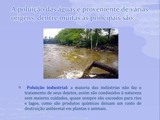 Poluição industrial:  a maioria das indústrias não faz o tratamento de seus dejetos, assim são conduzidos à natureza sem maiores cuidados, quase sempre são escoados para rios e lagos, como são produtos químicos deixam um rasto de destruição ambiental em plantas e animais. 