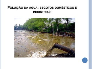Introduzem nos sistemas aquáticos diversos tipos de matéria orgânica com características biodegradáveis.Bactérias e outros organismos decompõem a matéria orgânica.Quantidades moderadas de matéria orgânica podem resultar num grande perda de oxigênio em águas naturais.Corpos aquáticos eutrofizados Fósforo: o vilão da eutrofização 