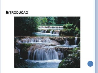 Introdução