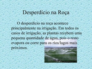 Desperdício na Roça
    O desperdício na roça acontece
principalmente na irrigação. Em todos os
casos de irrigação, as plantas recebem uma
pequena quantidade de água, pois o resto
evapora ou corre para os rios/lagos mais
próximos.
 