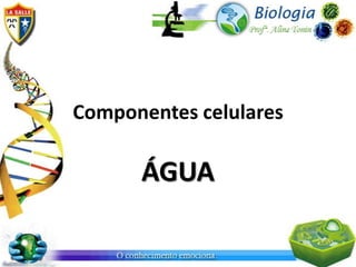 Componentes celulares

      ÁGUA
 