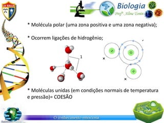 * Molécula polar (uma zona positiva e uma zona negativa);

* Ocorrem ligações de hidrogênio;




* Moléculas unidas (em condições normais de temperatura
e pressão)= COESÃO
 