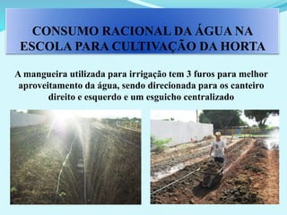 CONSUMO RACIONAL DA ÁGUA NA
ESCOLA PARA CULTIVAÇÃO DA HORTA
A mangueira utilizada para irrigação tem 3 furos para melhor
aproveitamento da água, sendo direcionada para os canteiro
direito e esquerdo e um esguicho centralizado
 