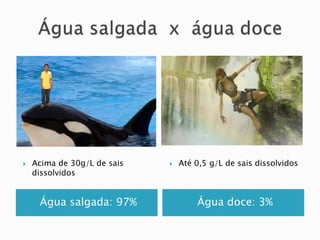    Acima de 30g/L de sais      Até 0,5 g/L de sais dissolvidos
    dissolvidos


     Água salgada: 97%               Água doce: 3%
 