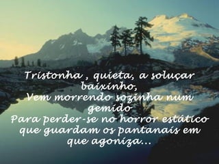 Tristonha , quieta, a soluçar
baixinho,
Vem morrendo sozinha num
gemido
Para perder-se no horror estático
que guardam os pantanais em
que agoniza...
 