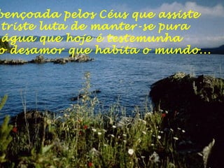 bençoada pelos Céus que assiste
triste luta de manter-se pura
água que hoje é testemunha
o desamor que habita o mundo...
 