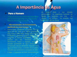
• A água é um recurso natural tão importante
que se enconta presente em praticamente
todas as actividades humanas.
• ●Na manutenção e no funcionamento
equilibrado do corpo humano -
• Diariamente, perdemos, em média, 2,5 l de
água por dia, pelo suor; pela respiração,
pela urina e pelas fezes. Assim para manter
o equilíbrio, devemos ingerir, bebendo ou
comendo, a mesma quantidade de água
potável por dia. Devemos comer,
diariamente, frutos e vegetais, devido a
elevada quantidade de água existente na
composição desses alimentos. Quando falta
água ao nosso corpo, o cérebro desencadeia
reacções que produzem a sensação de sede.
• A água é essencial ao bom funcionamento
do corpo, dada a sua elevada
percentagem no organismo humano: no
fígado, nos pulmões, nos rins, no
sangue, no cérebro, no coração, nos
músculos e até nos ossos.
 
