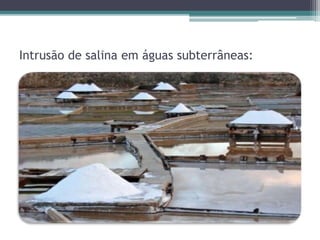 Intrusão de salina em águas subterrâneas:
 