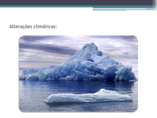Alterações climáticas:
 