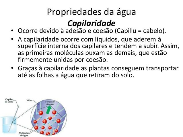 Os meios que o cabelo enrolou