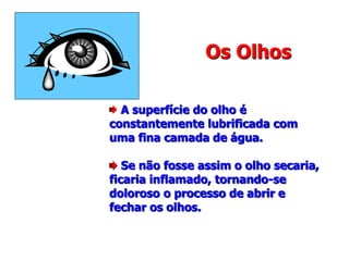 Os Olhos
A superfície do olho é
constantemente lubrificada com
uma fina camada de água.
Se não fosse assim o olho secaria,
ficaria inflamado, tornando-se
doloroso o processo de abrir e
fechar os olhos.
 