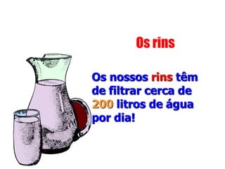 Os rins
Os nossos rins têm
de filtrar cerca de
200 litros de água
por dia!
 
