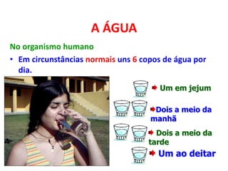 A ÁGUA
No organismo humano
• Em circunstâncias normais uns 6 copos de água por
dia.
Dois a meio da
manhã
Um em jejum
Dois a meio da
tarde
Um ao deitar
 