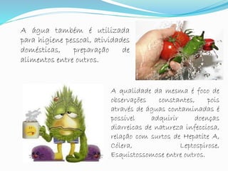 A água também é utilizada
para higiene pessoal, atividades
domésticas, preparação de
alimentos entre outros.
A qualidade da mesma é foco de
observações constantes, pois
através de águas contaminadas é
possível adquirir doenças
diarreicas de natureza infecciosa,
relação com surtos de Hepatite A,
Cólera, Leptospirose,
Esquistossomose entre outros.
 