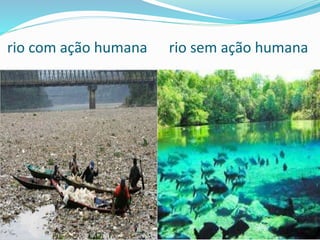 rio com ação humana rio sem ação humana
 