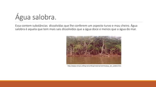 Água salobra. 
Essa contem substâncias dissolvidas que lhe conferem um aspecto turvo e mau cheiro. Água 
salobra é aquela que tem mais sais dissolvidos que a água doce e menos que a água do mar. 
http://www.virtual.unifesp.br/unifesp/malaria/restrito/pop_vet_salobra.htm 
 