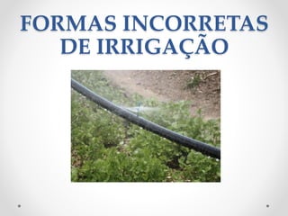 FORMAS INCORRETAS 
DE IRRIGAÇÃO 
 