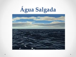 Água Salgada 
 