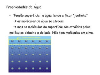 •Tensão superficial: a água tende a ficar “juntinha” 
as moléculas da água se atraem 
mas as moléculas da superfície são atraídas pelas moléculas debaixo e do lado. Não tem moléculas em cima. 
Propriedades da Água  