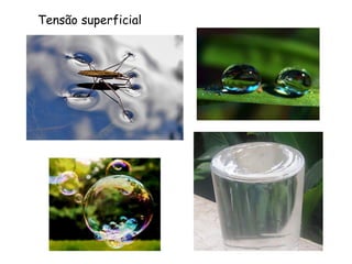Tensão superficial  