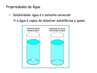 •Solubilidade: água é o solvente universal 
a água é capaz de dissolver substâncias e gases 
Propriedades da Água  