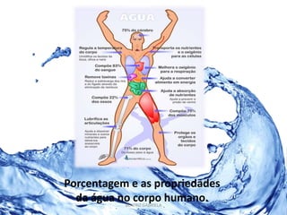 Porcentagem e as propriedades 
da água no corpo humano. 
BEATRIZ GABRIELA 
 