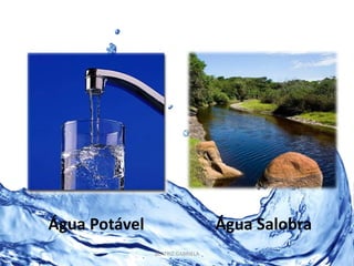 Água Potável Água Salobra 
BEATRIZ GABRIELA 
 