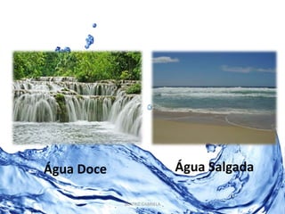 Água Doce Água Salgada 
BEATRIZ GABRIELA 
 