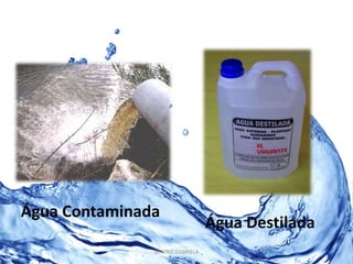 Água Contaminada 
Água Destilada 
BEATRIZ GABRIELA 
 