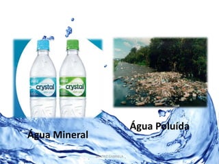 Água Mineral 
Água Poluída 
BEATRIZ GABRIELA 
 