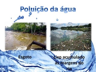 Esgoto Lixo acumulado 
às margens do 
BEATRIZ GABRIELA rio 
 