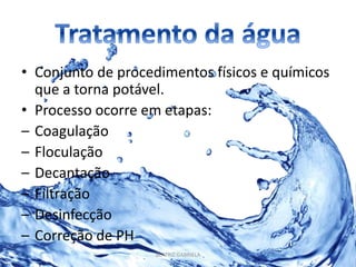 • Conjunto de procedimentos físicos e químicos 
que a torna potável. 
• Processo ocorre em etapas: 
– Coagulação 
– Floculação 
– Decantação 
– Filtração 
– Desinfecção 
– Correção de PH 
BEATRIZ GABRIELA 
 