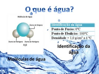 Moléculas de água 
Identificação da 
água 
BEATRIZ GABRIELA 
 