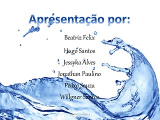 Beatriz Felix 
Hugo Santos 
Jessyka Alves 
Jonathan Paulino 
Pedro Souza 
Willgner Santos 
BEATRIZ GABRIELA 
