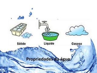 Propriedades da água 
BEATRIZ GABRIELA 
 