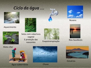 Ciclo da água ... 
Aquecimento 
Mata ciliar 
Solos com cobertura 
vegetal 
E proteção das 
nascentes Evapotranspiração 
Nuvens 
Água subterrânea Chuva 
Rios Saudáveis 
Estuários 
 