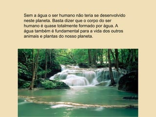 Sem a água o ser humano não teria se desenvolvido
neste planeta. Basta dizer que o corpo do ser
humano é quase totalmente formado por água. A
água também é fundamental para a vida dos outros
animais e plantas do nosso planeta.
 