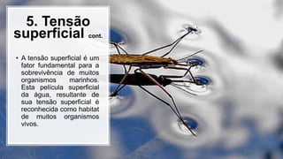 5. Tensão
superficial cont.
• A tensão superficial é um
fator fundamental para a
sobrevivência de muitos
organismos marinhos.
Esta película superficial
da água, resultante de
sua tensão superficial é
reconhecida como habitat
de muitos organismos
vivos.
 