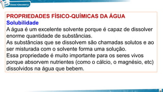 PROPRIEDADES FÍSICO-QUÍMICAS DA ÁGUA
Solubilidade
A água é um excelente solvente porque é capaz de dissolver
enorme quantidade de substâncias.
As substâncias que se dissolvem são chamadas solutos e ao
ser misturada com o solvente forma uma solução.
Essa propriedade é muito importante para os seres vivos
porque absorvem nutrientes (como o cálcio, o magnésio, etc)
dissolvidos na água que bebem.
18
 