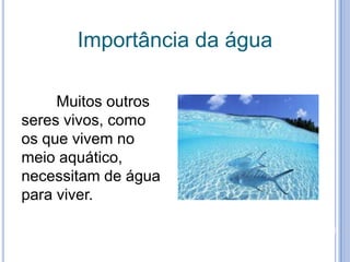 Importância da águaMuitos outros seres vivos, como os que vivem no meio aquático, necessitam de água para viver.
